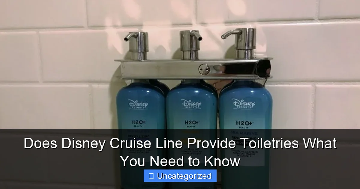 Does Disney Cruise Line Provide Toiletries What You Need to Know