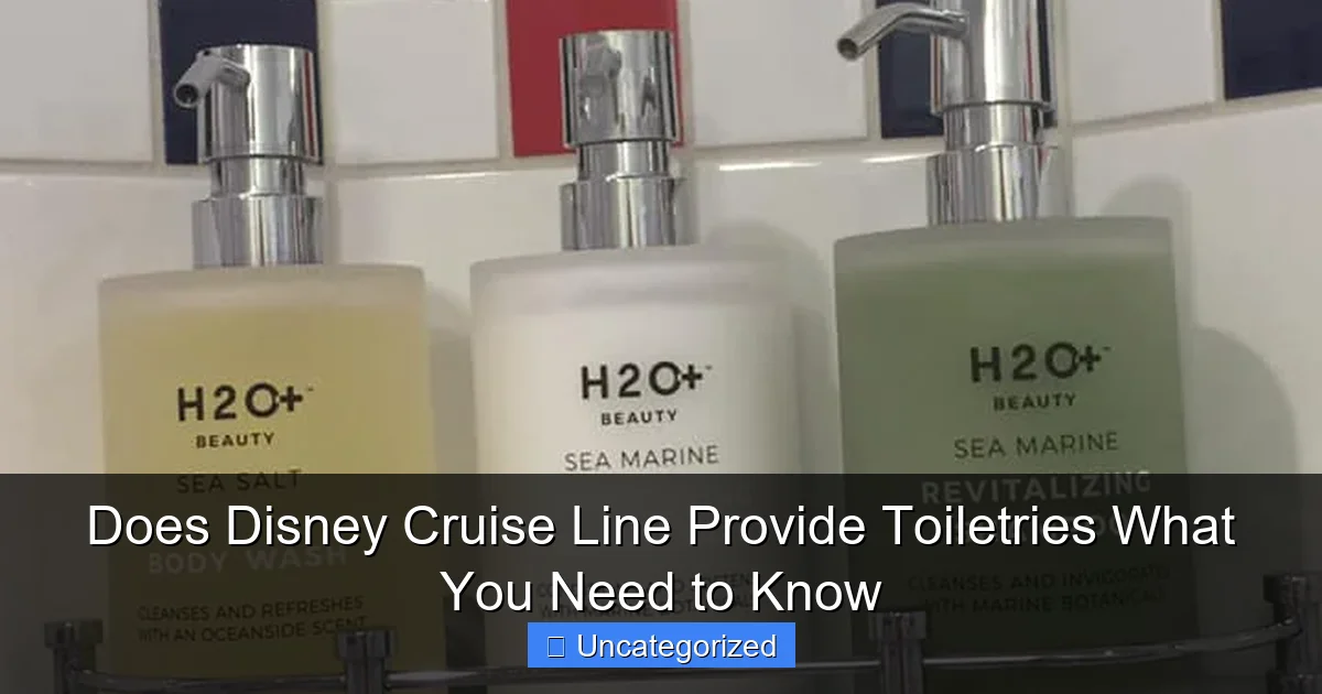 Does Disney Cruise Line Provide Toiletries What You Need to Know