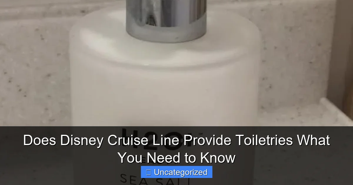 Does Disney Cruise Line Provide Toiletries What You Need to Know