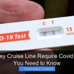 Does Disney Cruise Line Require Covid Test What You Need to Know