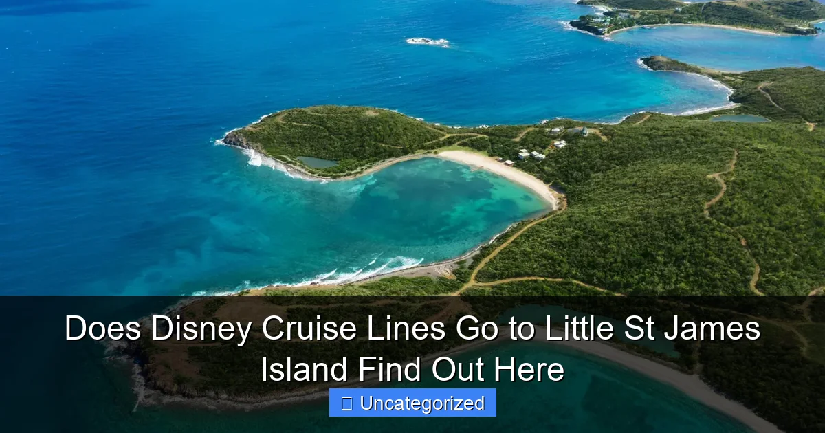 Does Disney Cruise Lines Go to Little St James Island Find Out Here
