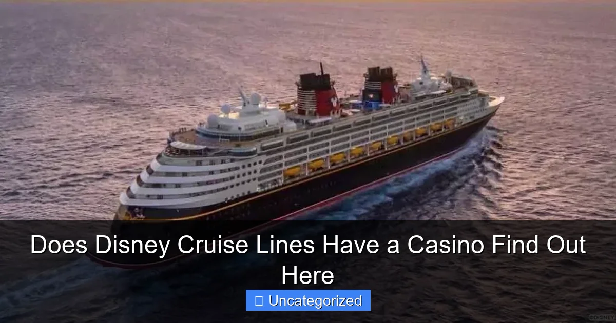 Does Disney Cruise Lines Have a Casino Find Out Here
