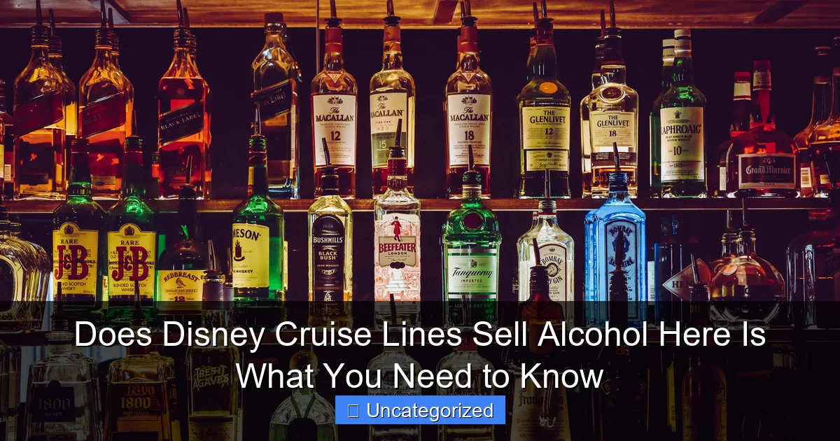 Does Disney Cruise Lines Sell Alcohol Here Is What You Need to Know