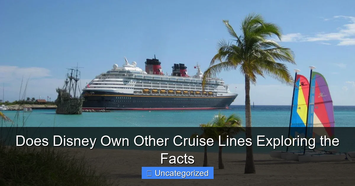Does Disney Own Other Cruise Lines Exploring the Facts