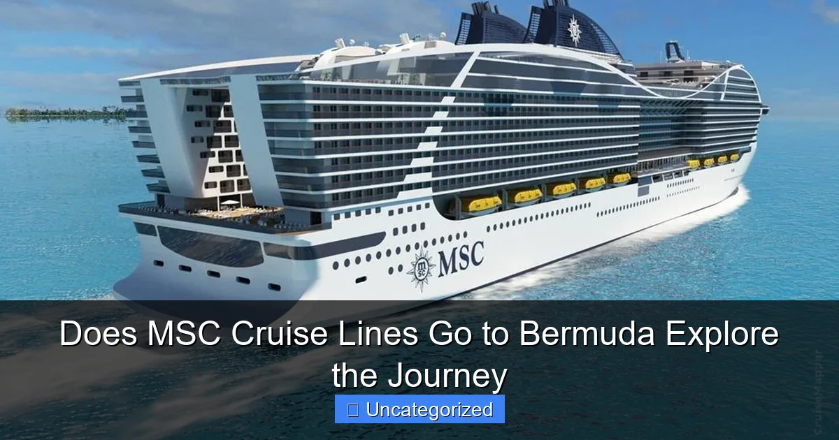 Does MSC Cruise Lines Go to Bermuda Explore the Journey