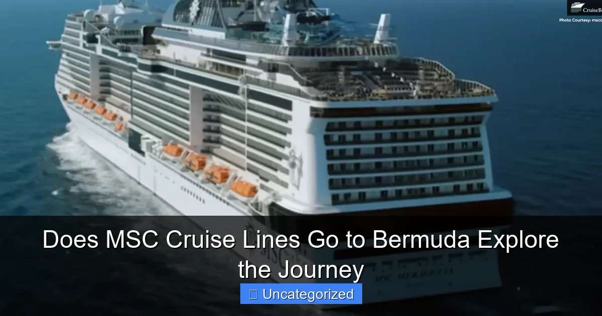 Does MSC Cruise Lines Go to Bermuda Explore the Journey