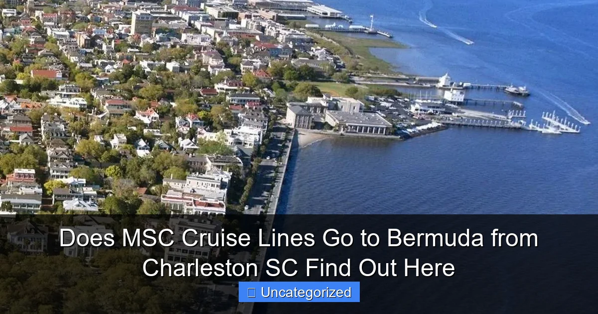 Does MSC Cruise Lines Go to Bermuda from Charleston SC Find Out Here