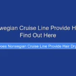 Does Norwegian Cruise Line Provide Hair Dryers Find Out Here