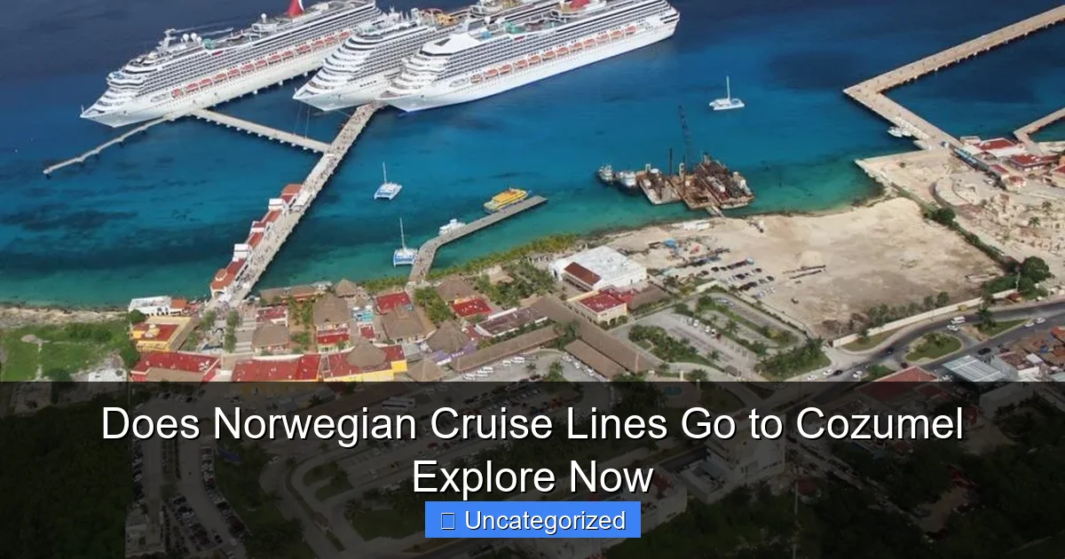 Does Norwegian Cruise Lines Go to Cozumel Explore Now