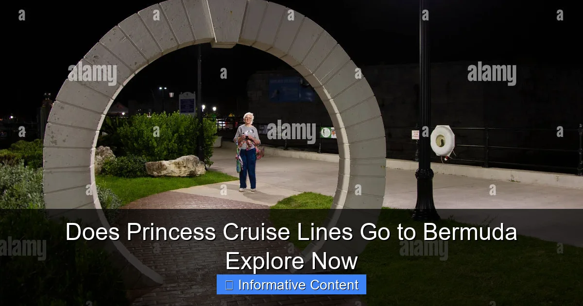 Does Princess Cruise Lines Go to Bermuda Explore Now