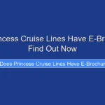 Does Princess Cruise Lines Have E-Brochures - Find Out Now