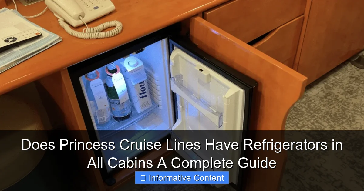 Does Princess Cruise Lines Have Refrigerators in All Cabins A Complete Guide