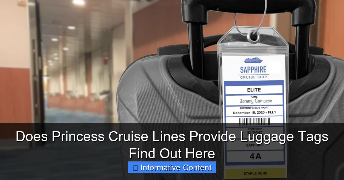 Does Princess Cruise Lines Provide Luggage Tags Find Out Here