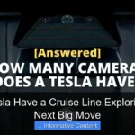 Does Tesla Have a Cruise Line Exploring Elons Next Big Move