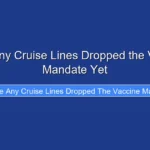Have Any Cruise Lines Dropped the Vaccine Mandate Yet