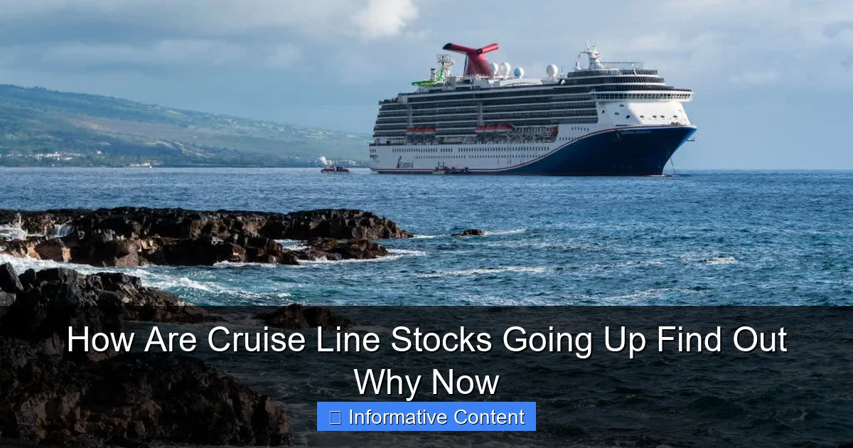 How Are Cruise Line Stocks Going Up Find Out Why Now