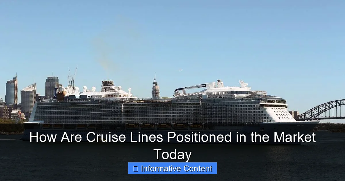 How Are Cruise Lines Positioned in the Market Today