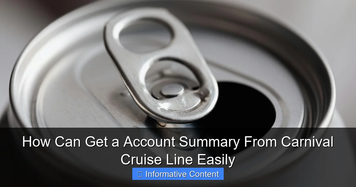 How Can Get a Account Summary From Carnival Cruise Line Easily