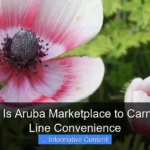 How Close Is Aruba Marketplace to Carnival Cruise Line Convenience