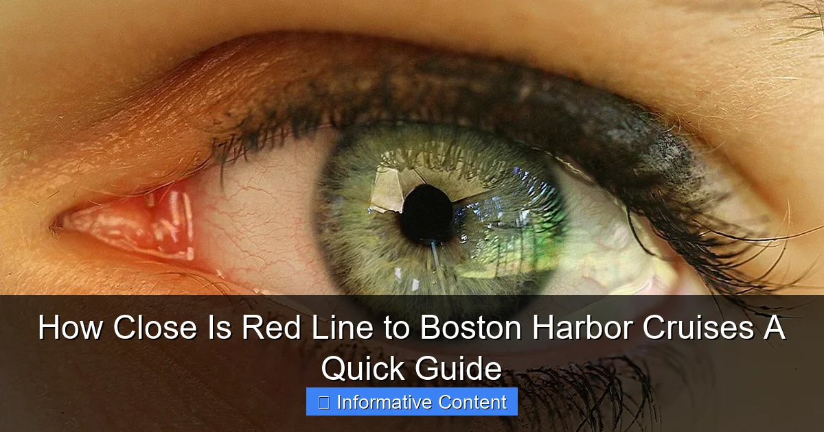 How Close Is Red Line to Boston Harbor Cruises A Quick Guide
