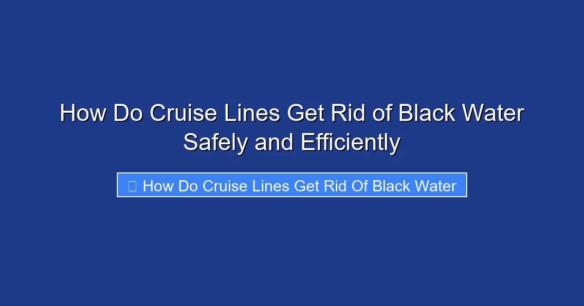 How Do Cruise Lines Get Rid of Black Water Safely and Efficiently
