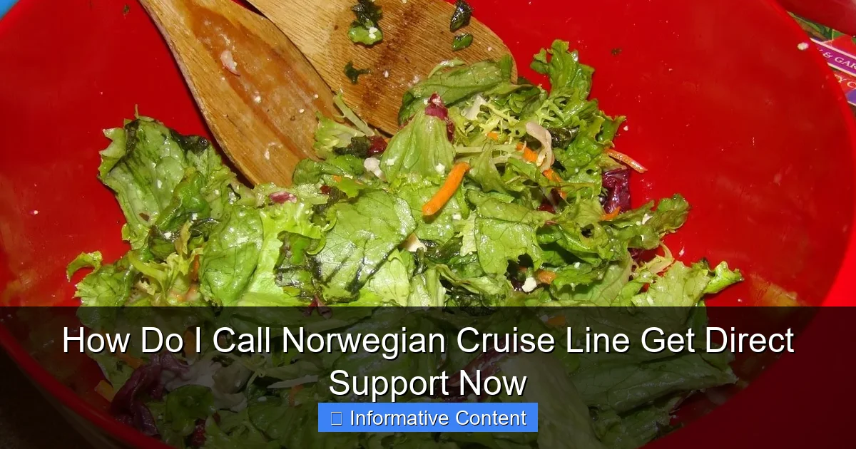 How Do I Call Norwegian Cruise Line Get Direct Support Now