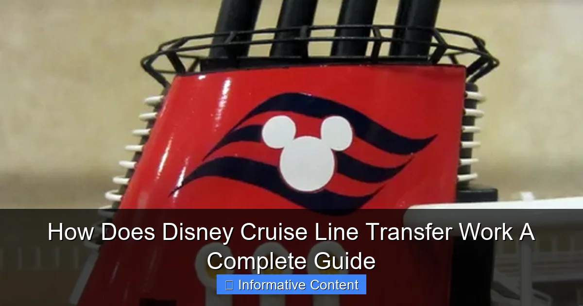 How Does Disney Cruise Line Transfer Work A Complete Guide