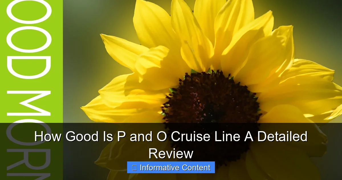 How Good Is P and O Cruise Line A Detailed Review