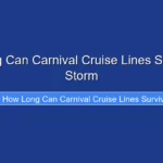 How Long Can Carnival Cruise Lines Survive the Storm