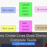 How Many Cruise Lines Does Disney Have A Complete Guide