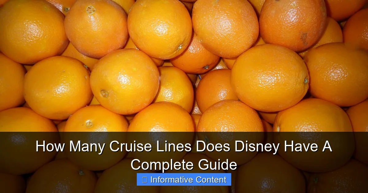 How Many Cruise Lines Does Disney Have A Complete Guide