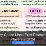 How Many Cruise Lines Exist Discover the Top Players in 2024