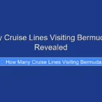 How Many Cruise Lines Visiting Bermuda in 2024 Revealed