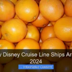 How Many Disney Cruise Line Ships Are There in 2024