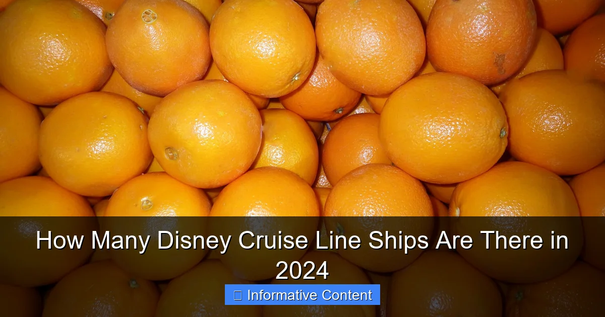 How Many Disney Cruise Line Ships Are There in 2024