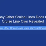 How Many Other Cruise Lines Does Carnival Cruise Line Own Revealed
