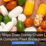 How Many Ships Does Disney Cruise Lines Have A Complete Fleet Breakdown