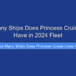 How Many Ships Does Princess Cruise Lines Have in 2024 Fleet