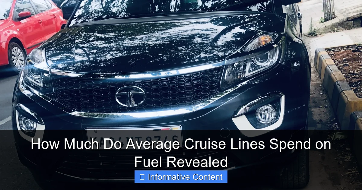 How Much Do Average Cruise Lines Spend on Fuel Revealed
