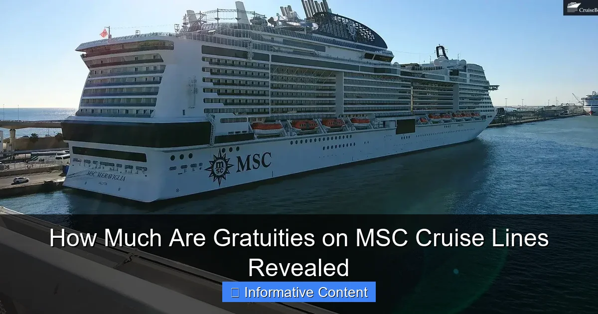 How Much Are Gratuities on MSC Cruise Lines Revealed