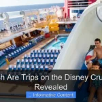 How Much Are Trips on the Disney Cruise Lines Revealed