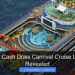 How Much Cash Does Carnival Cruise Lines Have Revealed