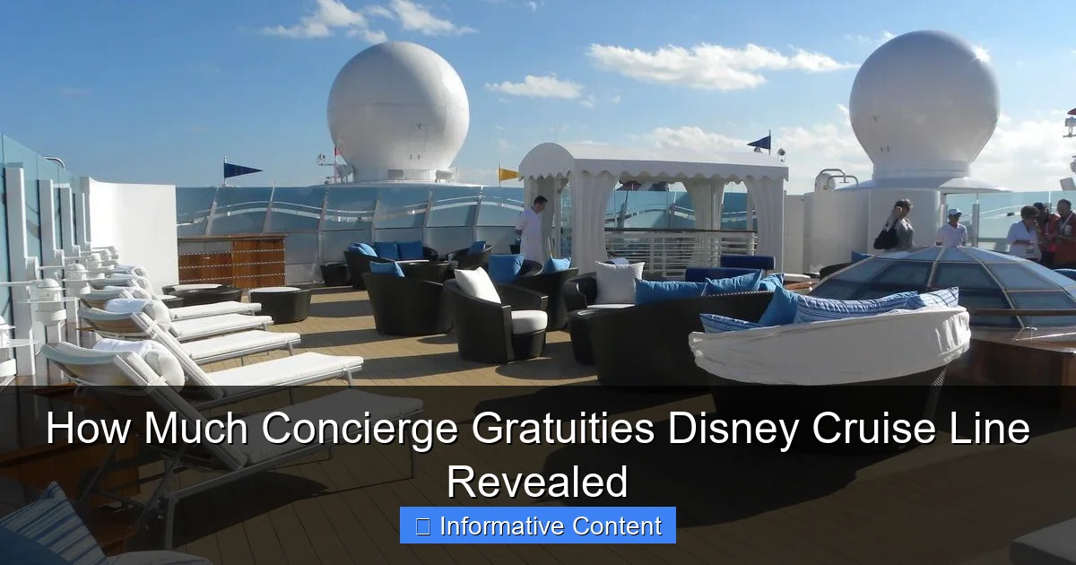 How Much Concierge Gratuities Disney Cruise Line Revealed