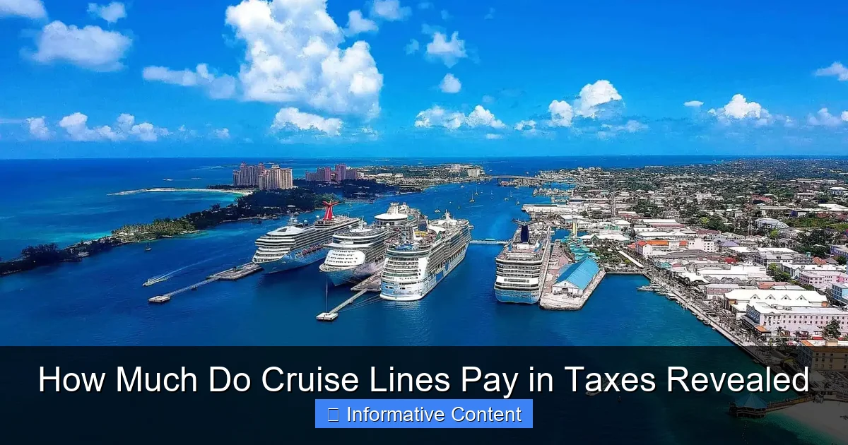 How Much Do Cruise Lines Pay in Taxes Revealed