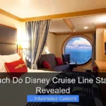 How Much Do Disney Cruise Line Staff Make Revealed
