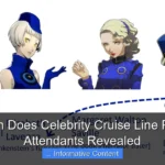 How Much Does Celebrity Cruise Line Pay Room Attendants Revealed
