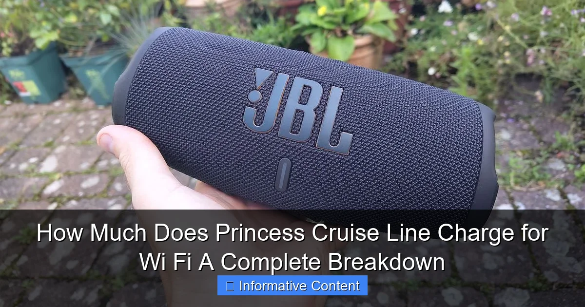 How Much Does Princess Cruise Line Charge for Wi Fi A Complete Breakdown