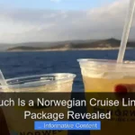 How Much Is a Norwegian Cruise Line Drink Package Revealed