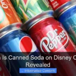 How Much Is Canned Soda on Disney Cruise Line Revealed