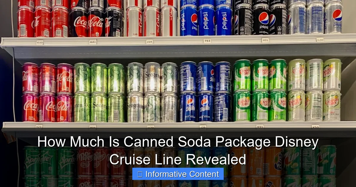 How Much Is Canned Soda Package Disney Cruise Line Revealed